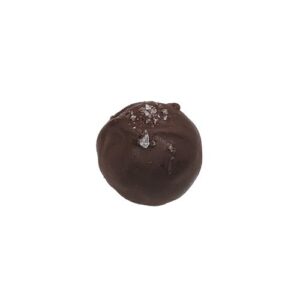 Dark Chocolate Caramel Sea Salt Truffle