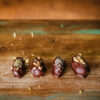 Chocolate Covered Medjool Dates (4) - Image 2